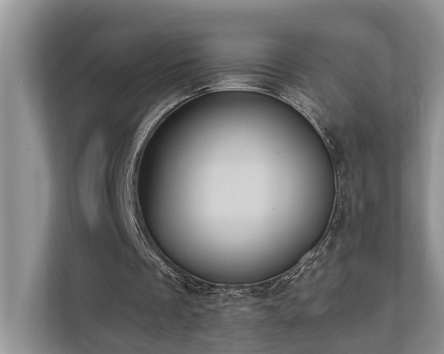 X0000110680289200906121211
