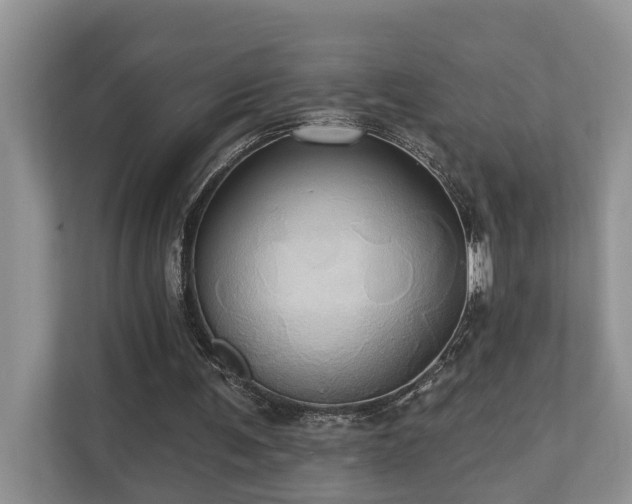 X0000110680291200906121211