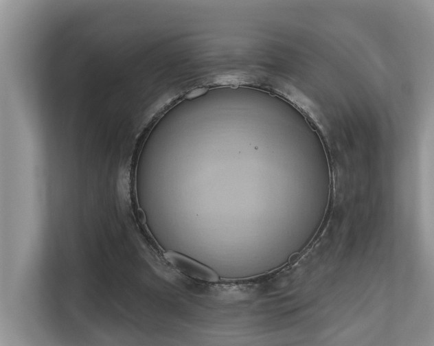 X0000110680297200906121211