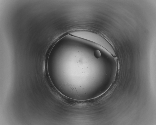 X0000110680301200906121211