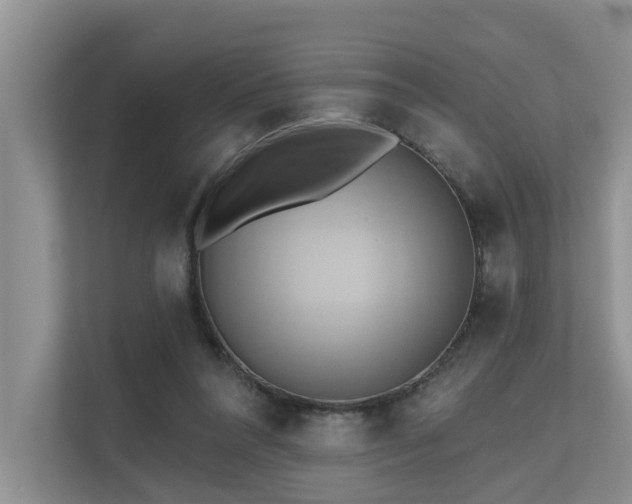 X0000110680304200906121211
