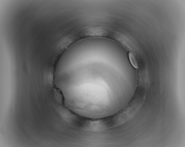 X0000110680309200906121211