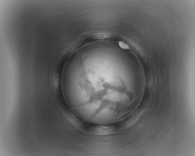 X0000110680315200906121211