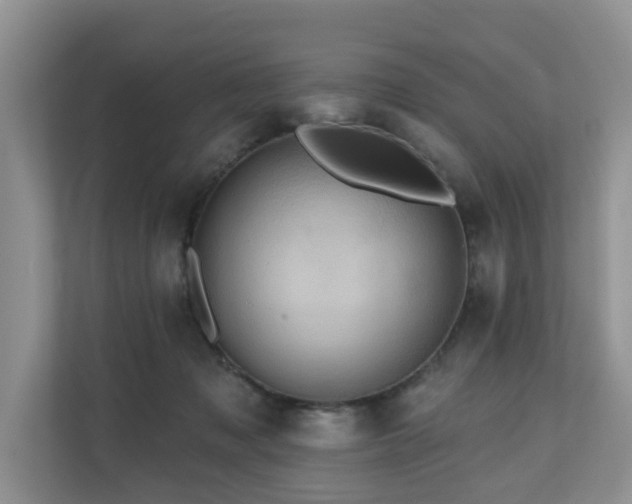 X0000110680317200906121211