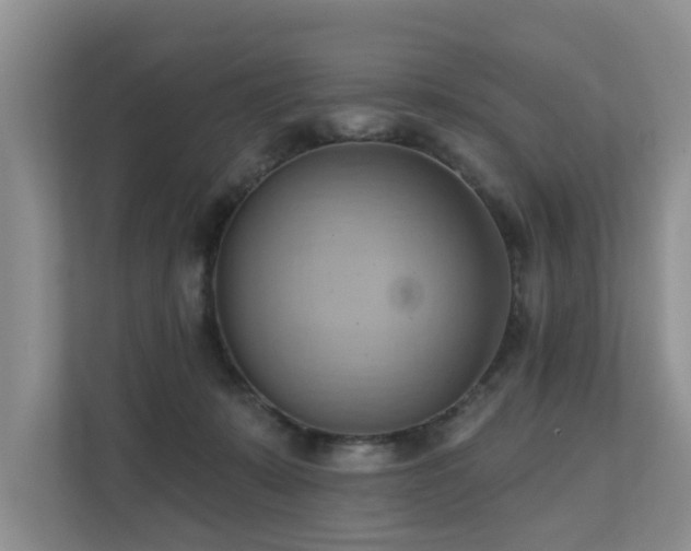 X0000110680319200906121211