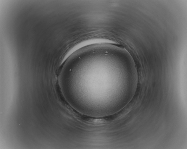 X0000110680324200906121211