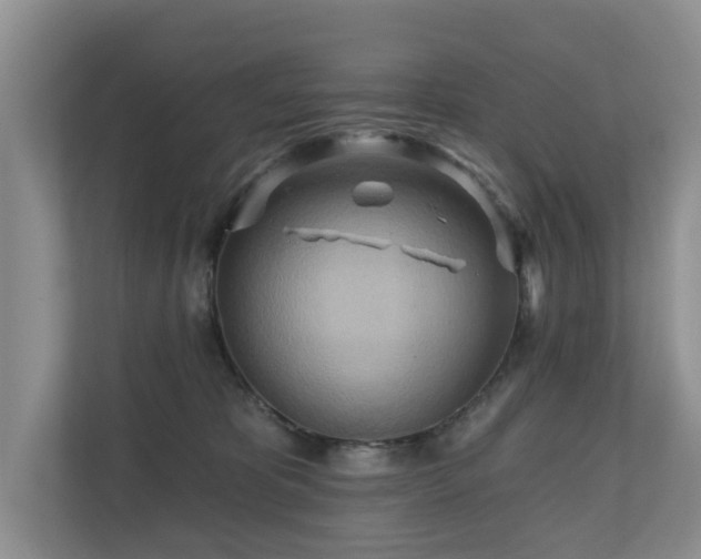 X0000110680325200906121211
