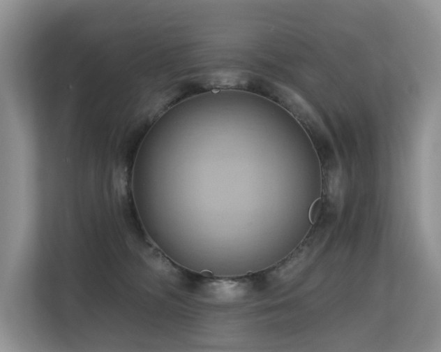 X0000110680326200906121211