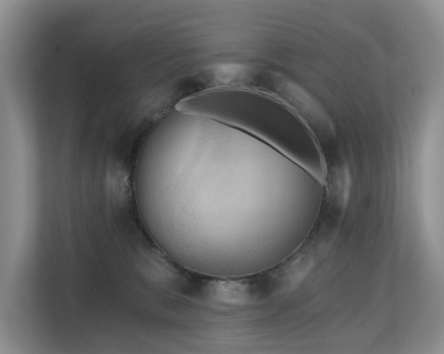 X0000110680327200906121211