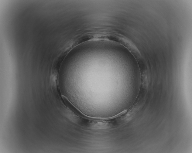X0000110680329200906121211