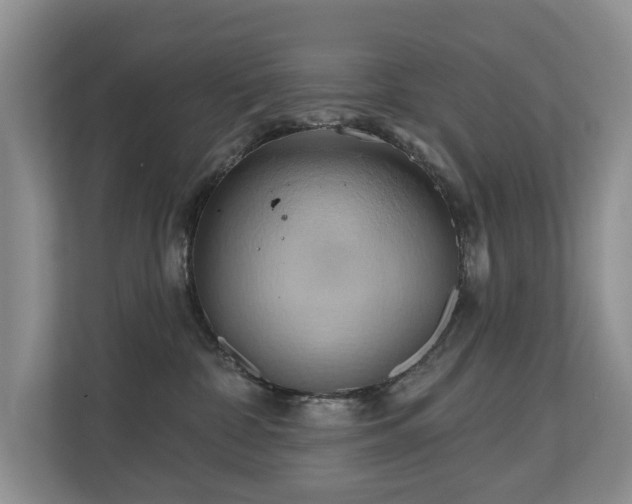 X0000110680332200906121211