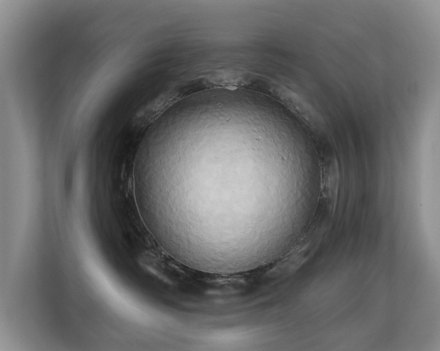 X0000110680334200906121211