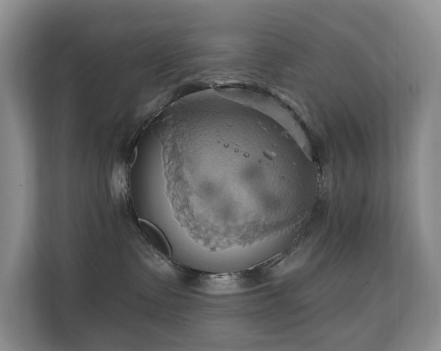 X0000110680335200906121211