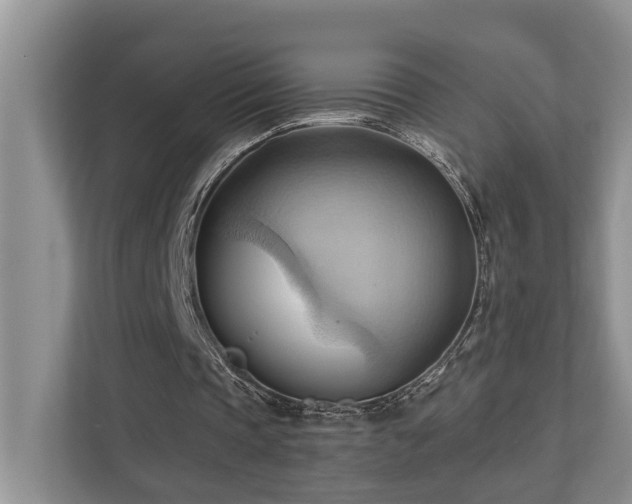 X0000110680337200906121210