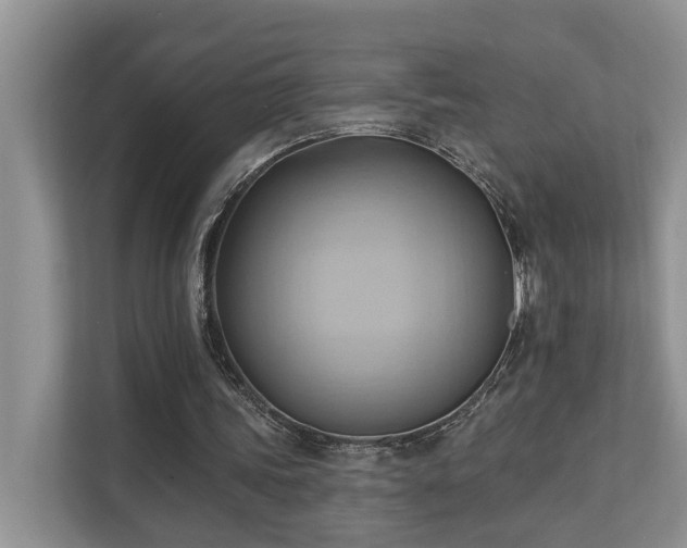 X0000110680339200906121210