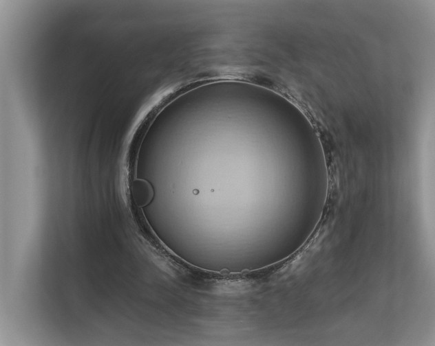X0000110680342200906121210