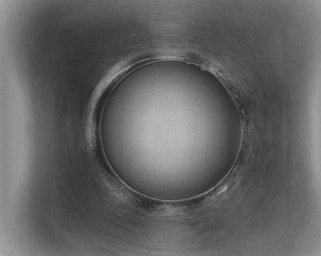 X0000110680343200906121210