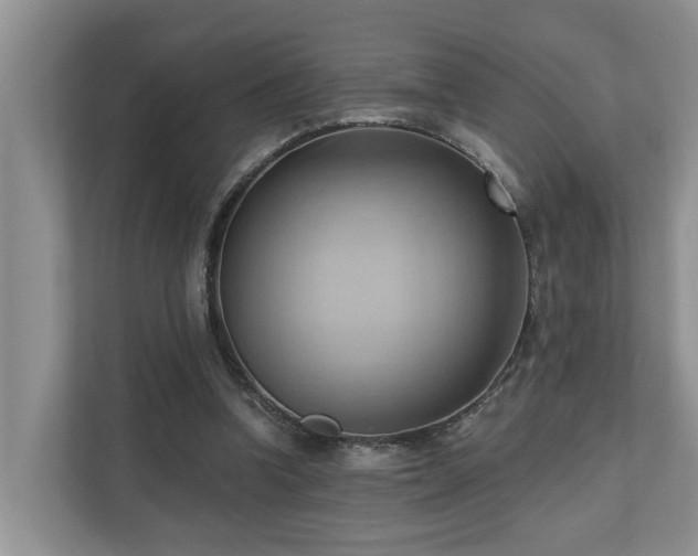 X0000110680346200906121210