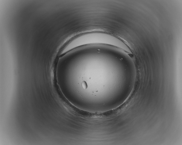 X0000110680350200906121210