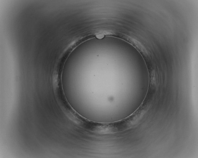 X0000110680351200906121210