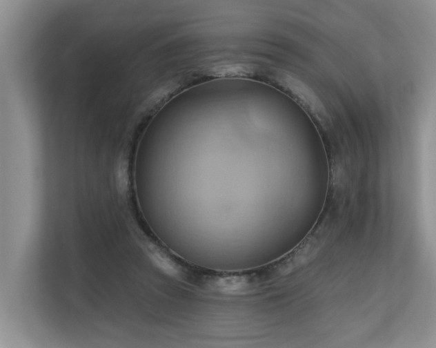 X0000110680353200906121210
