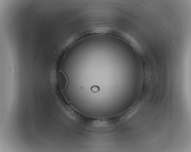 X0000110680354200906121210
