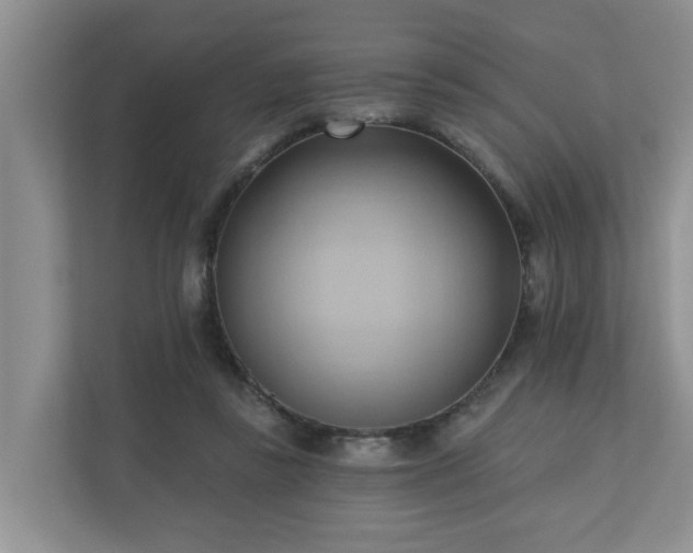 X0000110680355200906121210
