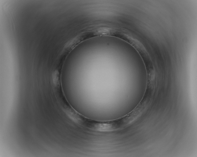 X0000110680361200906121210