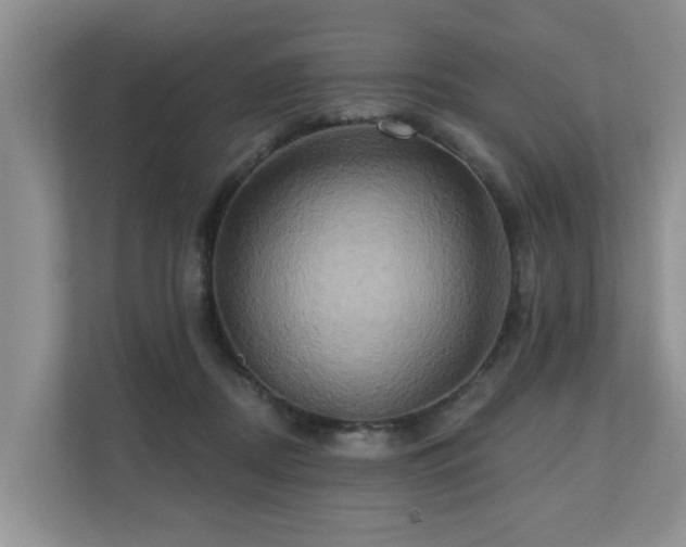 X0000110680362200906121210