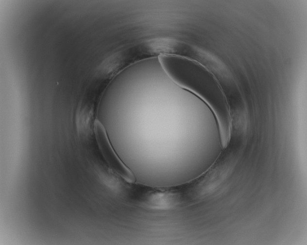 X0000110680364200906121210