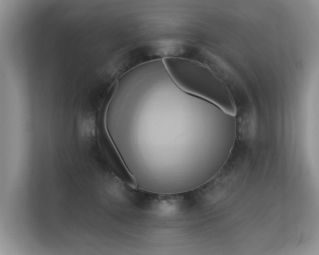 X0000110680368200906121211