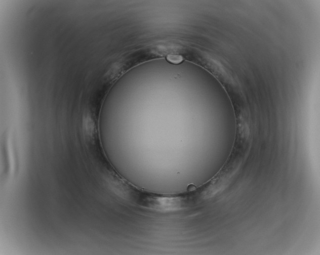 X0000110680371200906121211