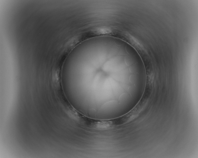 X0000110680373200906121211