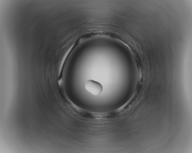 X0000110680376200906121211