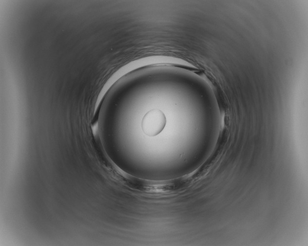 X0000110680380200906121211