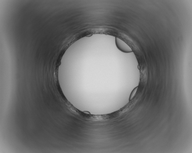 X0000110680381200906121211