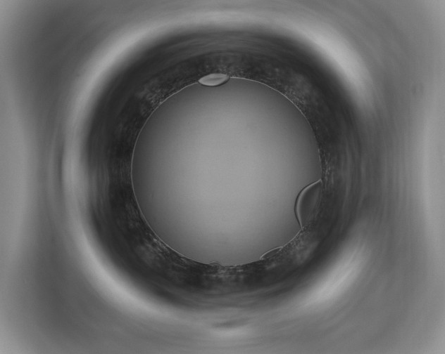 X0000110680383200906121211