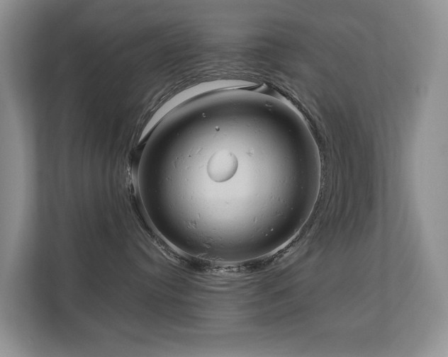 X0000110680384200906121211