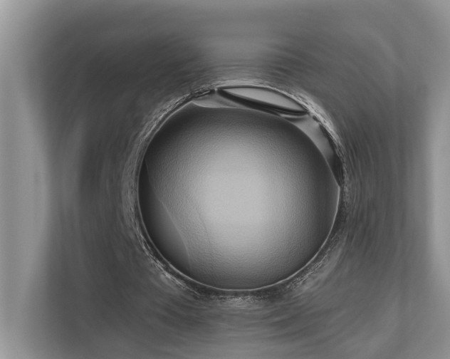 X0000110680385200906121210