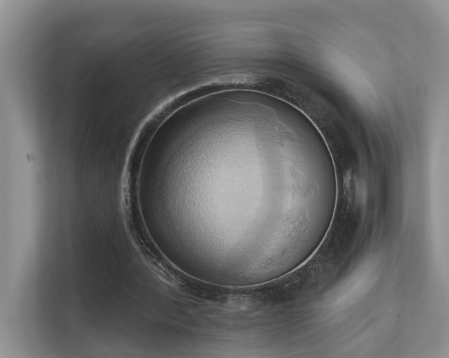 X0000110680388200906121210