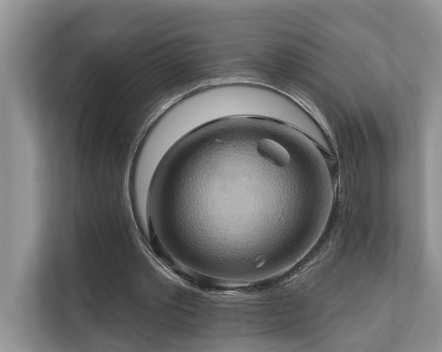 X0000110680389200906121210