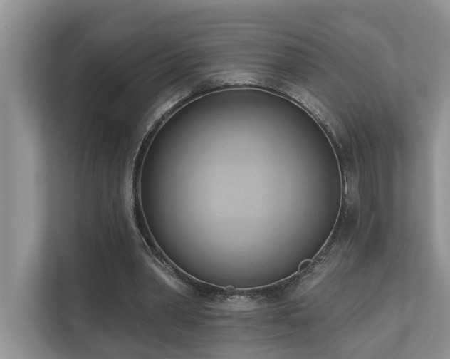X0000110680390200906121210