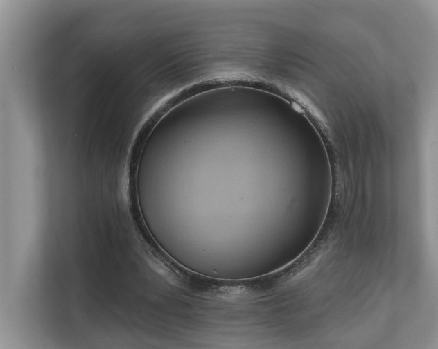X0000110680391200906121210