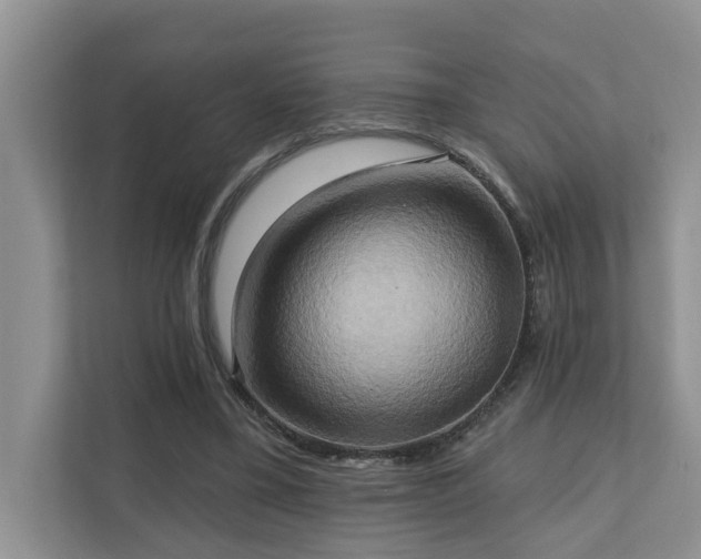 X0000110680395200906121210