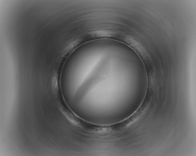 X0000110680398200906121210