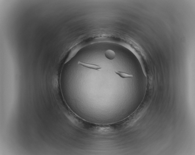 X0000110680401200906121210