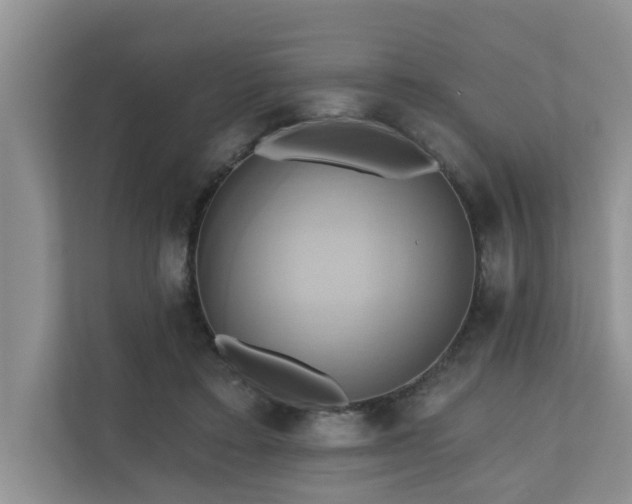 X0000110680403200906121210