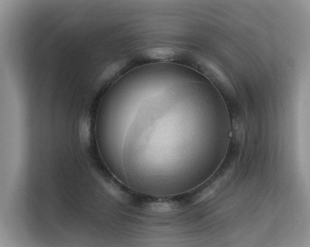 X0000110680404200906121210