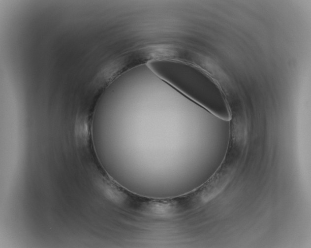 X0000110680405200906121210
