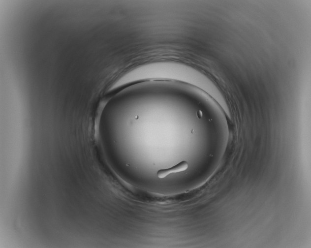 X0000110680411200906121210